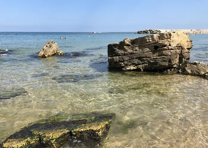 Sunrise Complex * Golden Sands