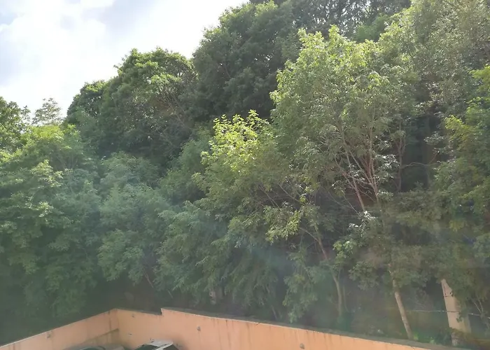 Sunrise Complex * Golden Sands